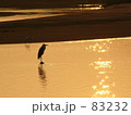 夕日