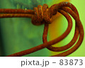 “line”