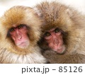 仲良し