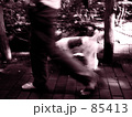 Stroll of JOY