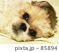なにをみているの？