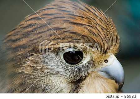 EYE