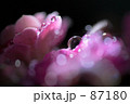 水玉遊び