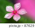 水玉遊び2