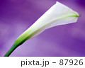 カラー