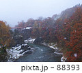 初雪