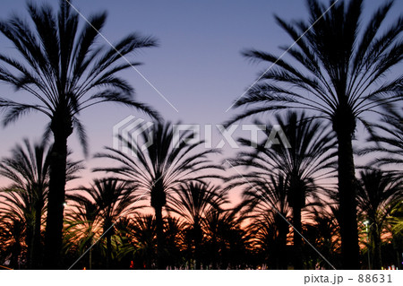 Twilight Breeze Twilight Breeze