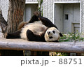 素材ナンバー 88751 : 「エクササイズ」