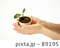 緑を大切に
