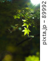 ゴースト遊び