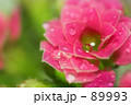 雫