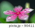 水玉遊び3