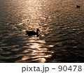 Evening sun and surface of the water
