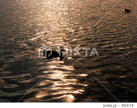 Evening sun and surface of the water
