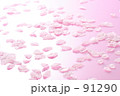 素材ナンバー 91290 : 「桜吹雪」