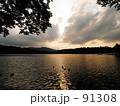 Evening sun and surface of the water 2
