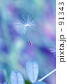素材ナンバー 91343 : 「花の精」