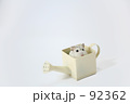 はいっちゃた！