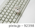 なになに? なになに?