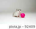 遊ぶねずみ