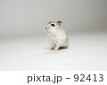 ダンディーな座り方