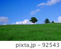 夏の草原