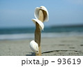 浜辺あそび
