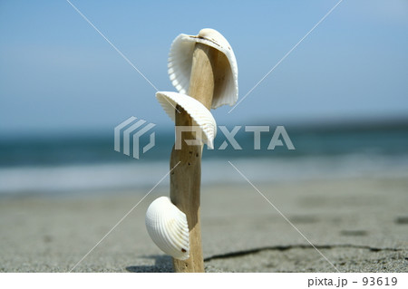 浜辺あそび 浜辺あそび