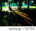 Long shadow and nature