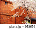 桜と赤煉瓦