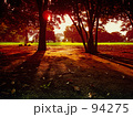 Long shadow and nature 2