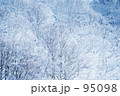 雪の花