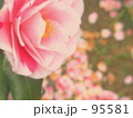 PINK*