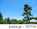 日本の夏