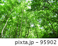 癒しの空間