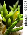 f0513