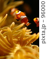 f0515