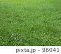 夏草