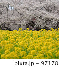 97178