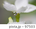 フェアリースター1