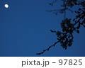 桜とお月様。。。