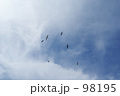 空と鳥