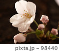 花一輪