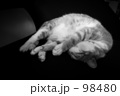 マイ