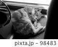 マイ