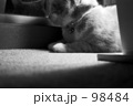 マイ