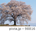 孤高