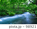 奥入瀬渓流Ⅲ