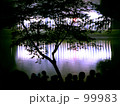 夏の残像・夢花火