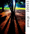 Long shadow and nature 3